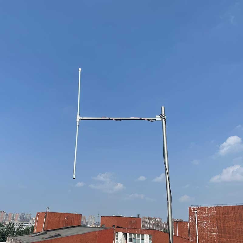 LP FM antenna